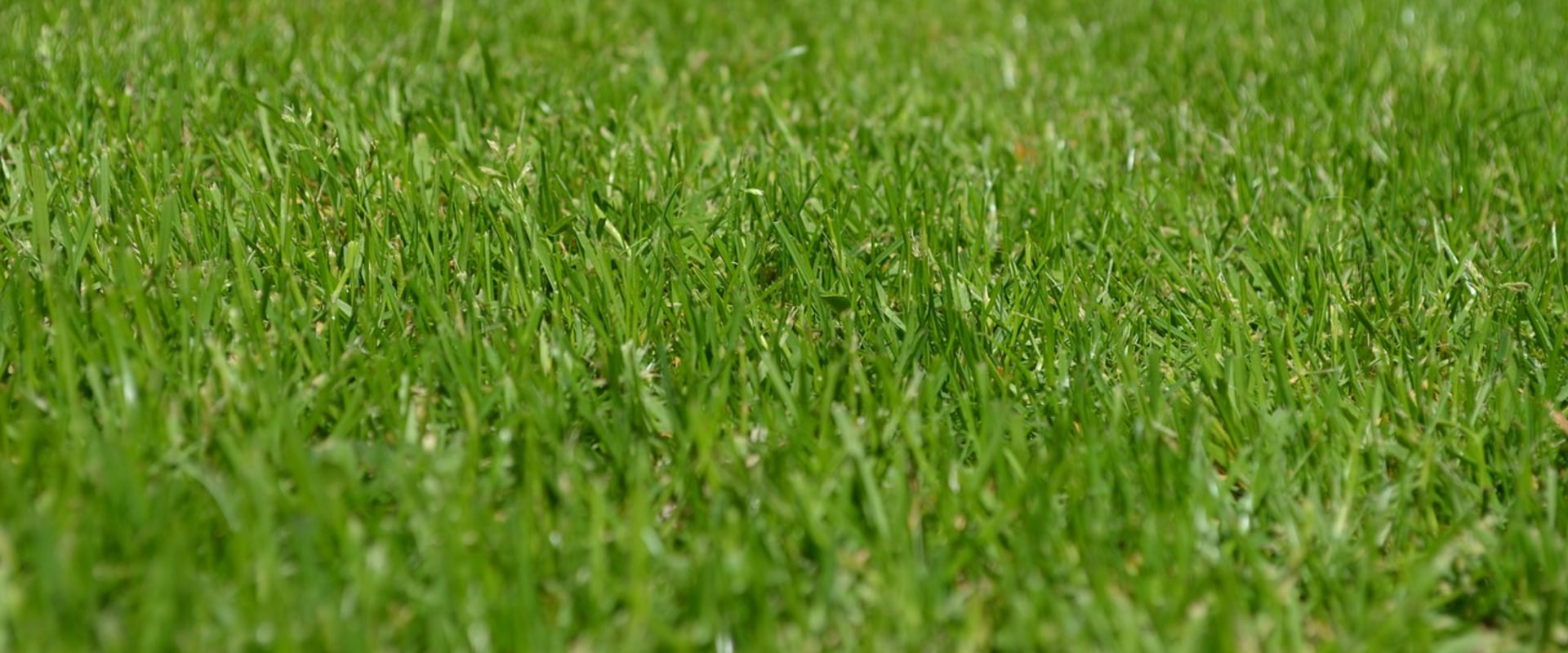 Enhance Your Home with Energy-Efficient Lighting & Professional Lawn Care