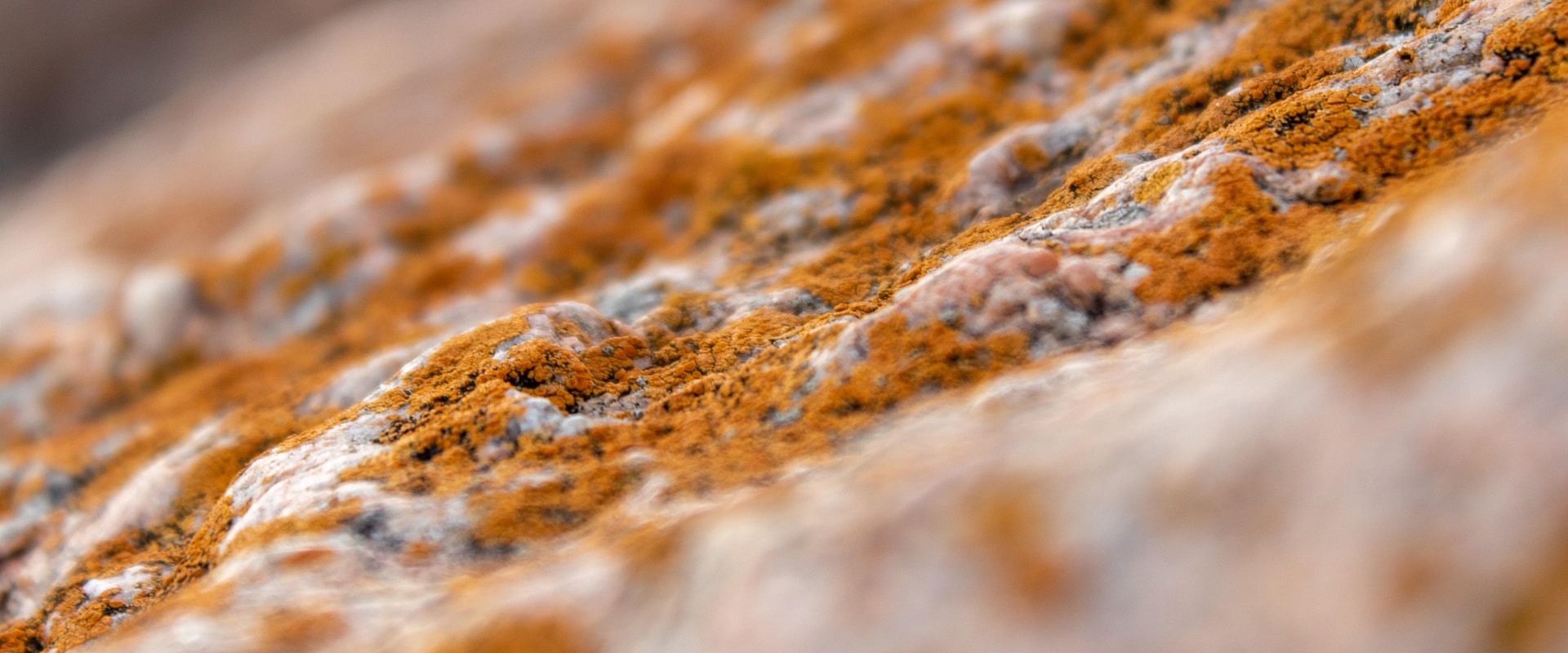 Energy Efficient Lighting and Mold Inspection: Essential for Businesses