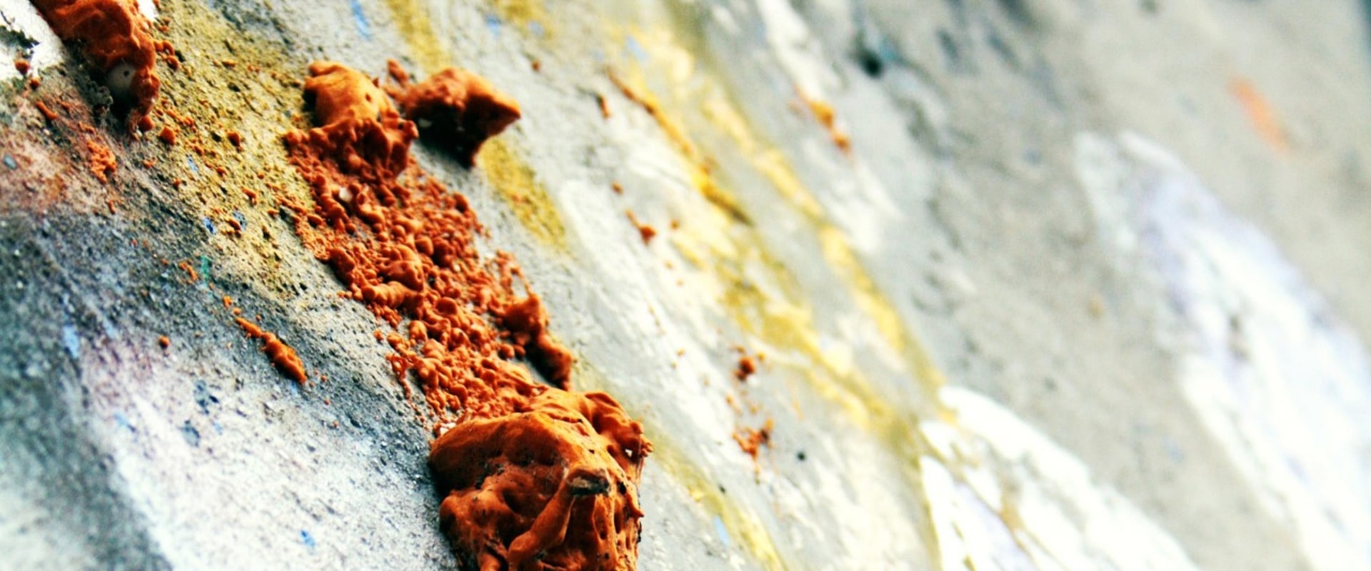 Mold Remediation & Energy Efficient Lighting in Portland