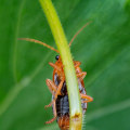 How Energy-Efficient Lighting Helps in Pest Control