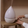 Enhance Home Comfort with Energy Efficient Lighting and Humidifiers