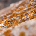 Energy Efficient Lighting and Mold Inspection: Essential for Businesses