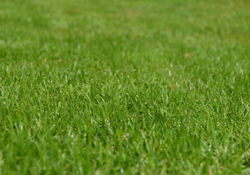 Enhance Your Home with Energy-Efficient Lighting & Professional Lawn Care