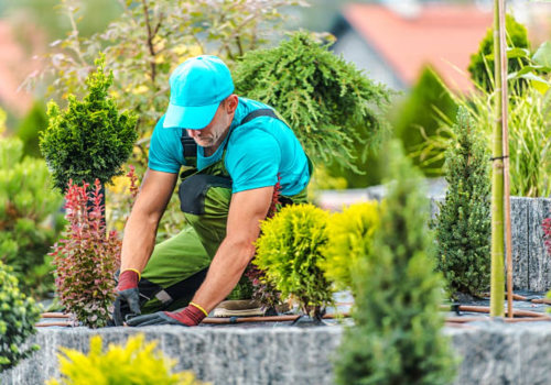 Illuminate Your Outdoors with Energy-Efficient Lighting