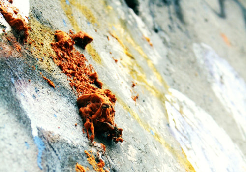 Mold Remediation & Energy Efficient Lighting in Portland